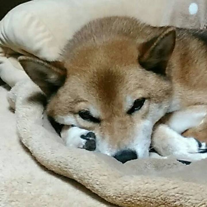 79912df8 3538 4cab a060 4d1989f33120 1567571087952