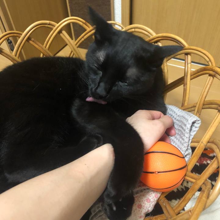 79914069 e560 4adf 93ce 8ad6083ab113 1594994947538