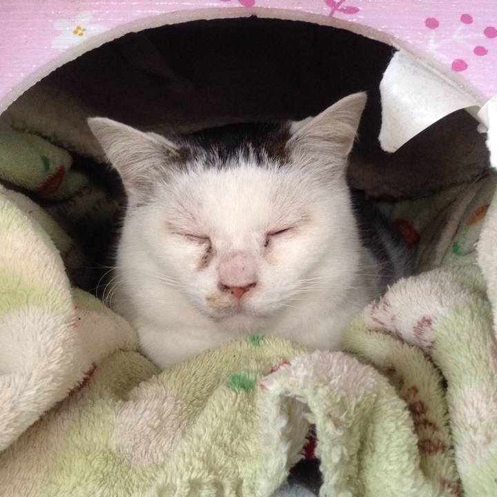 799153f6 8fe0 46d1 aff1 b036ca98bdc2 1518696368747