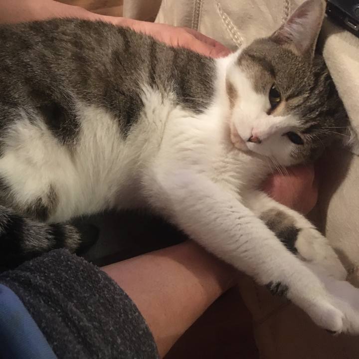 79915c63 5b26 49c8 b3af 6a4922e0afcc 1633047156150