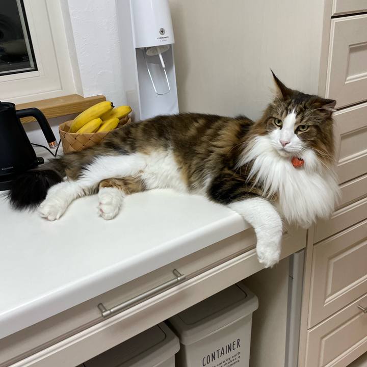 799184bf 9b4e 48cd b3ca 11b0dec809e2 1697656735963