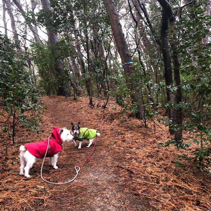 7991ac77 aa67 4c9b bc03 8f43cad2dc50 1578876258923