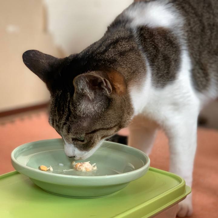 7991fbeb 6352 4fc6 83d0 1da3396bb67e 1588295024194