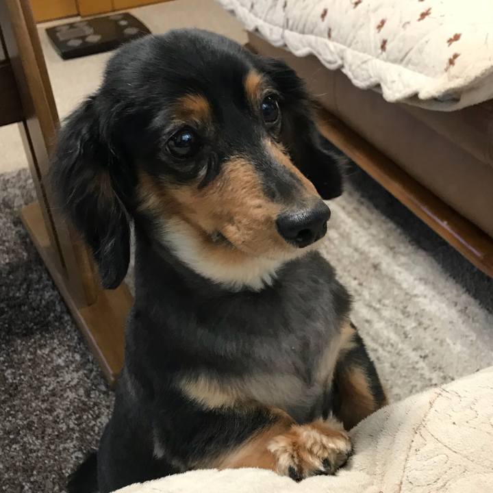 79920159 db55 4509 9d9a f83e321629b1 1517611532932