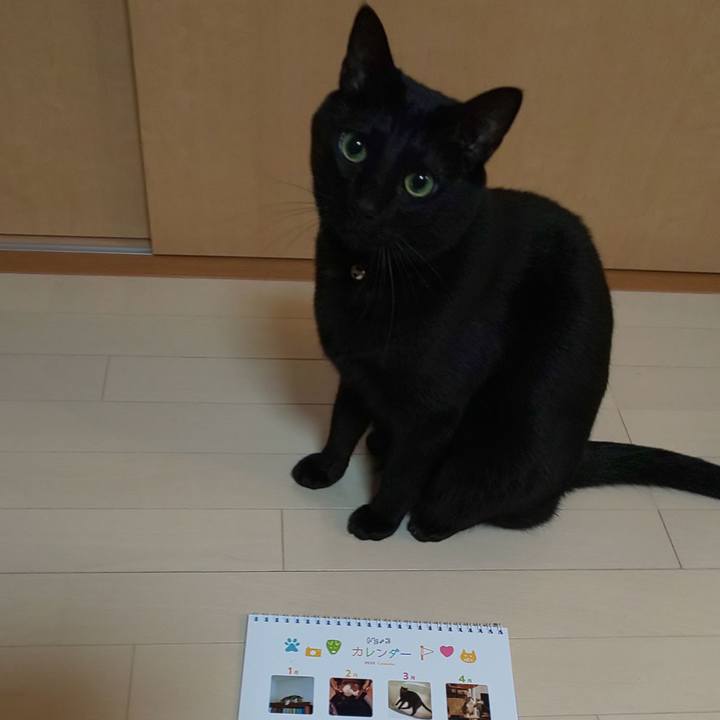 79921ba3 e515 41da 8bba 97c158193483 1576917841628