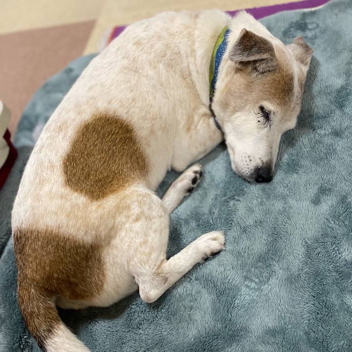 79923047 6126 4f61 bc45 b1048c37cc18 1708777436502