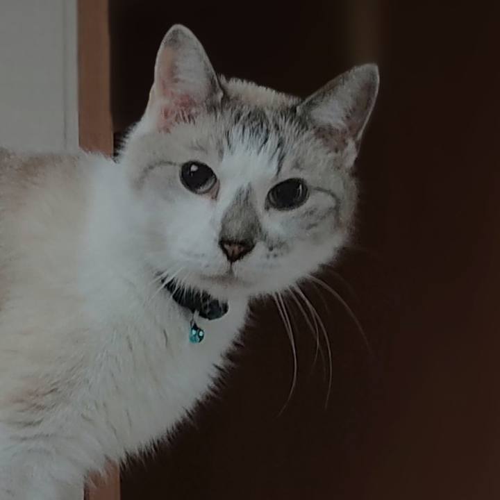 79926b1c 9b39 423a a84e 4f7c2370f30c 1659613433534