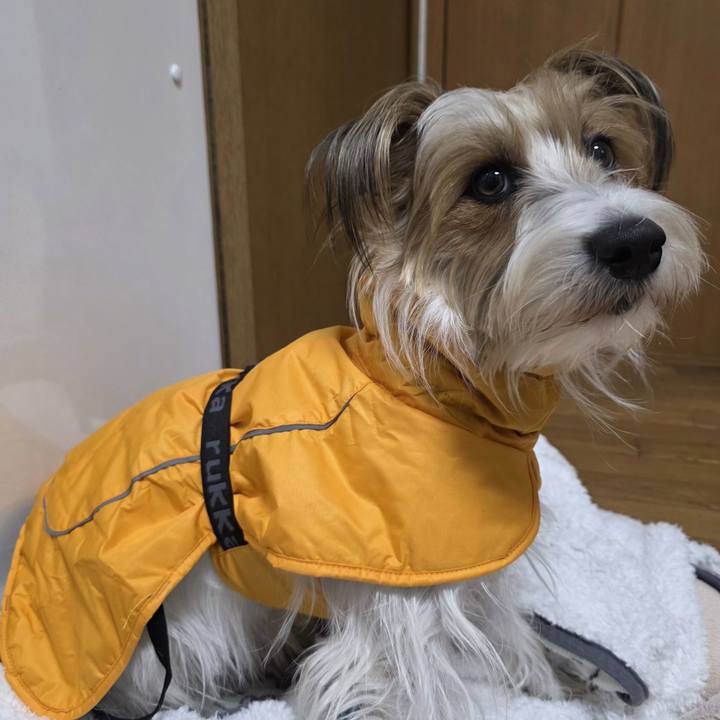 799298b5 cef6 496a 828c d26afb86799f 1774432854190