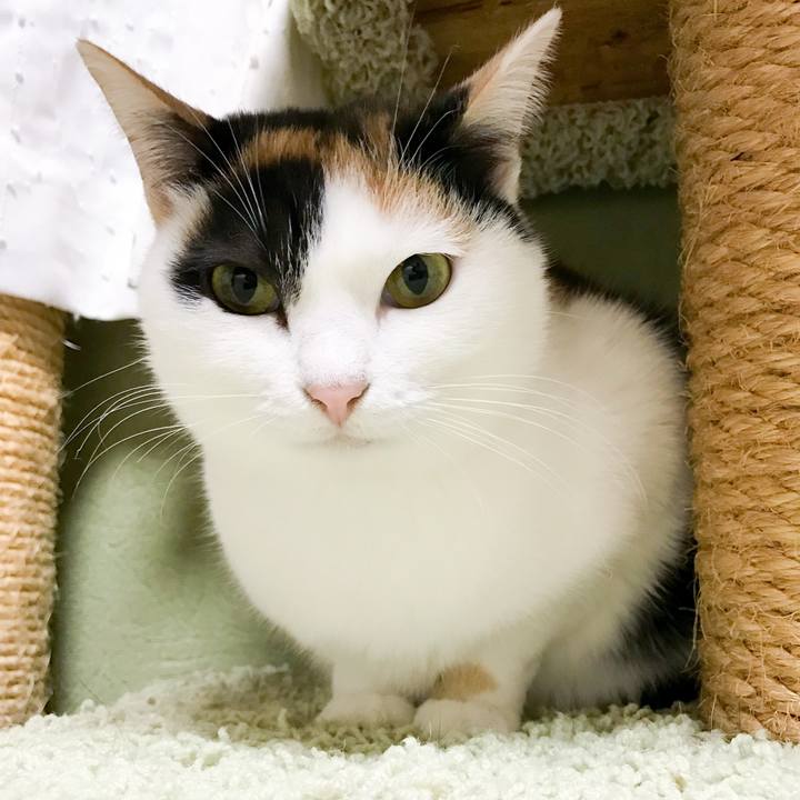 7992cfb1 3c95 4f86 9286 14fd060ce5d8 1514898250368