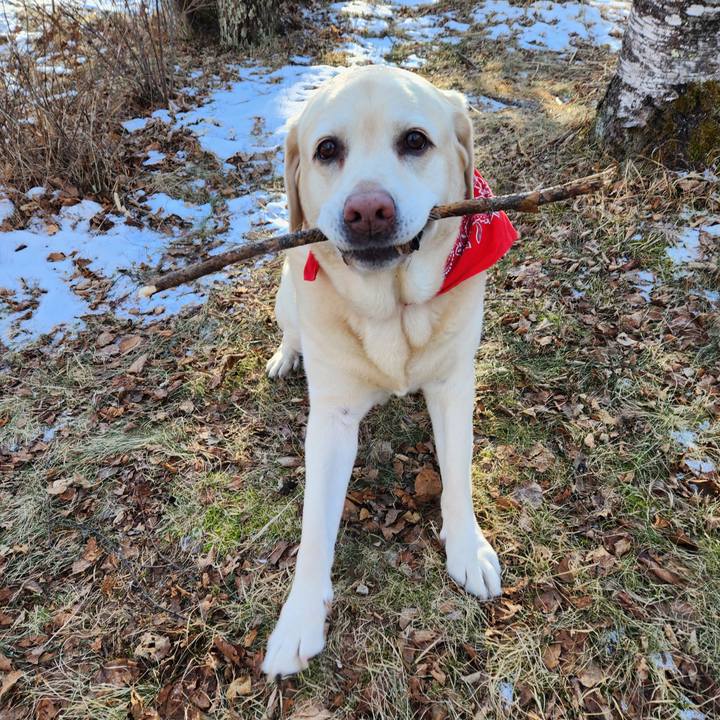 7992fe0a 386f 4e8a b890 ee7734998400 1767797249500