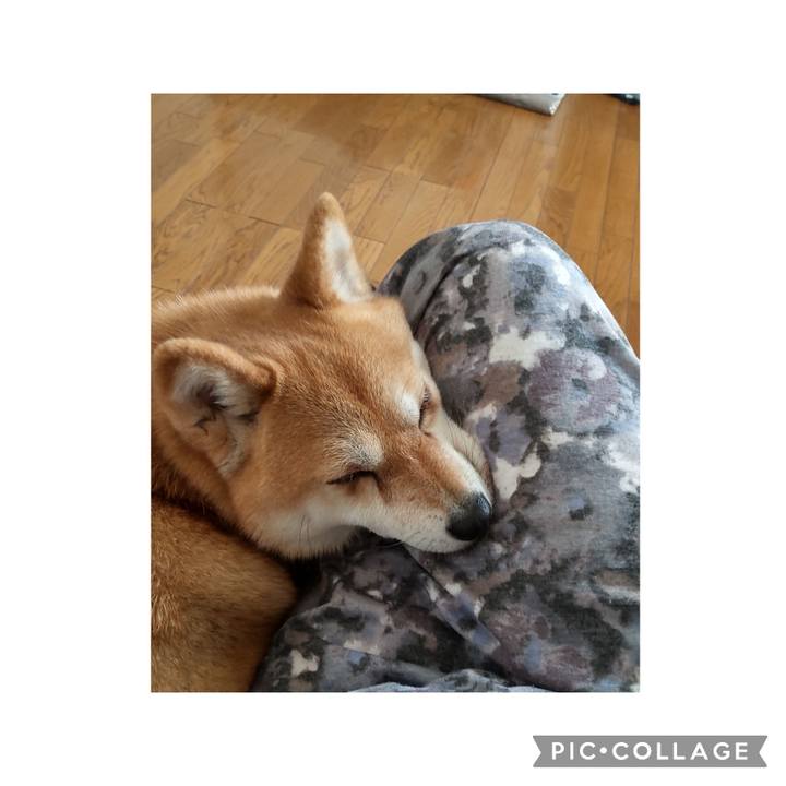 7993129a d3a3 45d1 b624 1a43d22fb595 1748742099276