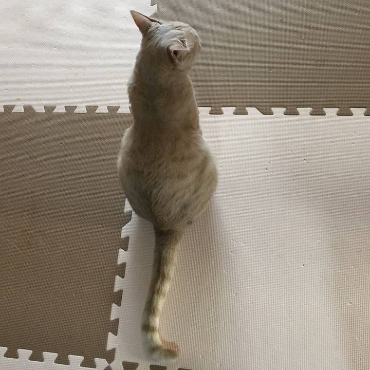 799365b4 889e 4ac4 aaf1 9b14469e3c2b 1578199474963