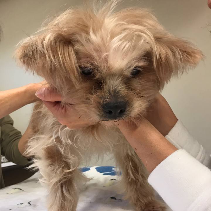 7993783a 4ab7 42c8 88fd b7fdb2a5fc55 1563587353188