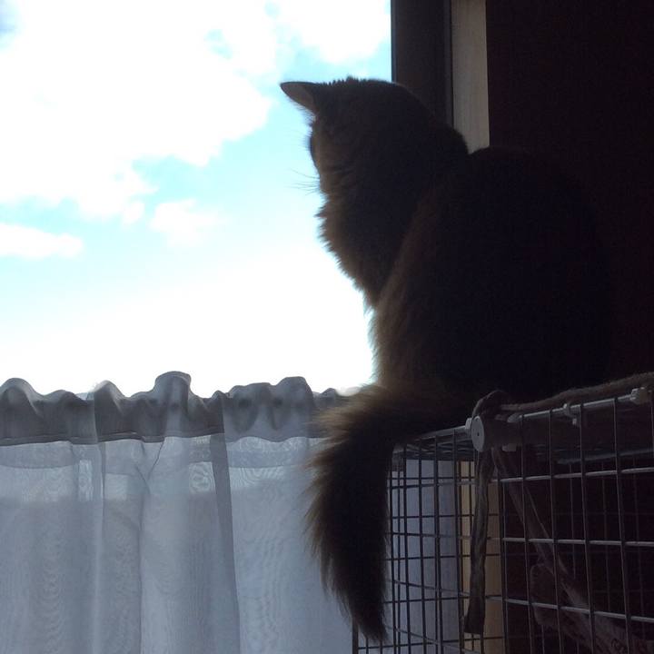 79938ab2 5ca9 4ace a797 b2bfd16207c5 1615186723135