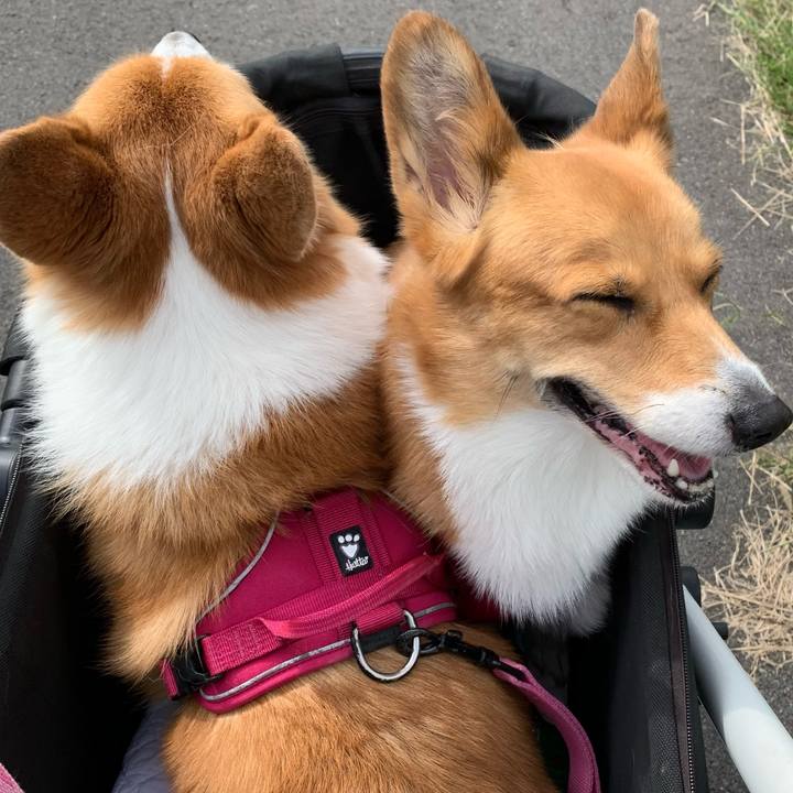 7993a014 64fb 4816 96dc c0d3617007d3 1634280897572