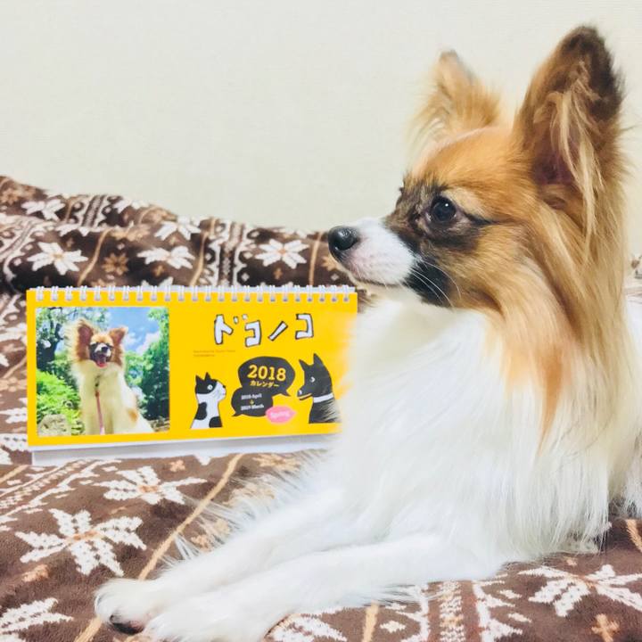 7993e43e e0f5 49b8 9c45 6f28fc55f8bd 1522490664980