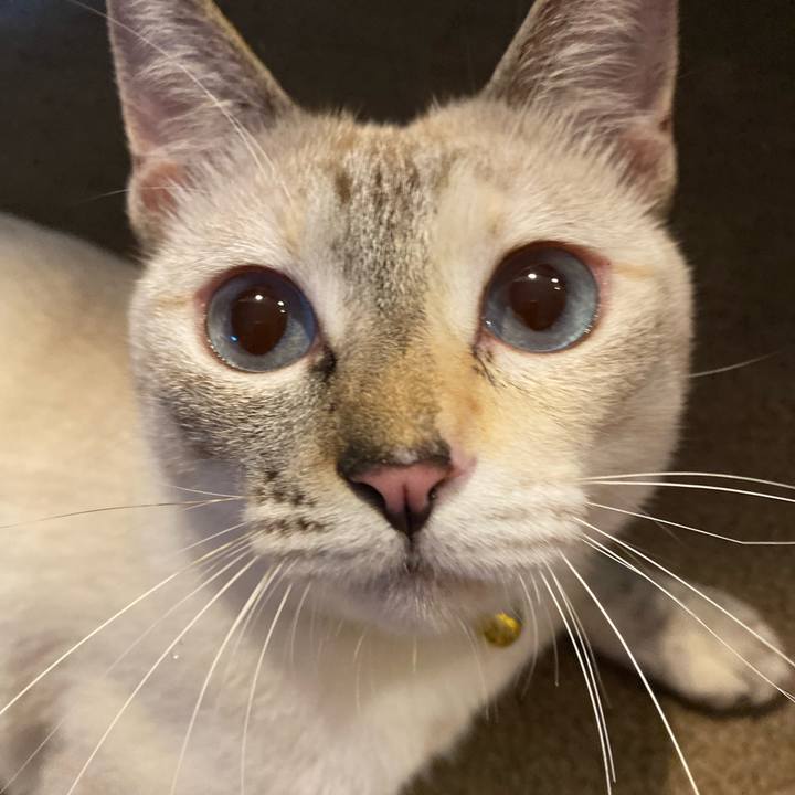 7993f2c9 cd53 4c8e a467 45a90189a164 1660136346459