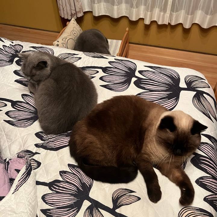 79940ab9 873a 4ec0 b6bc 62a7684caa58 1667864988557