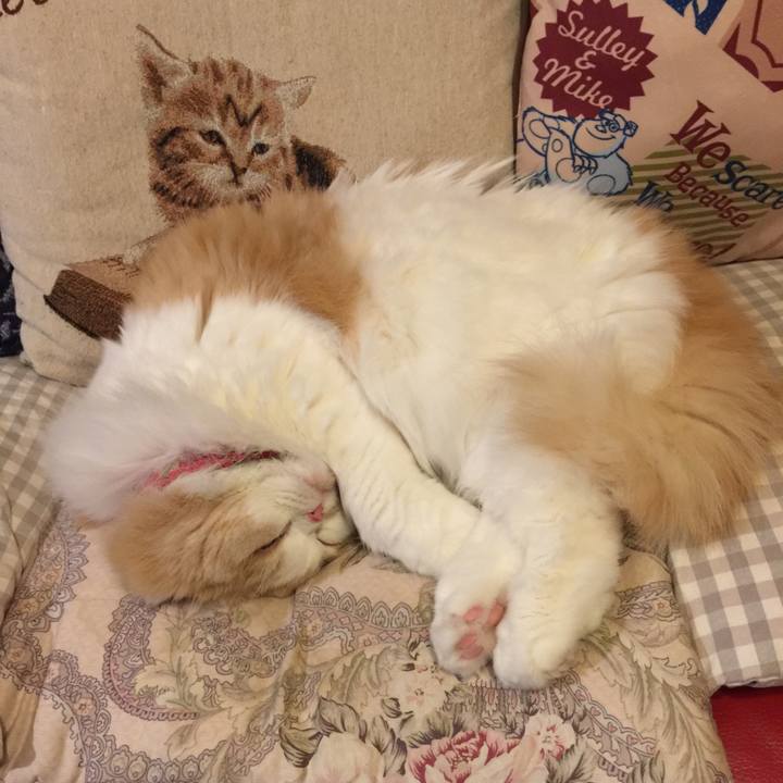 79941eeb d5a3 4b20 ad6d 5aa1f003f349 1544966745153