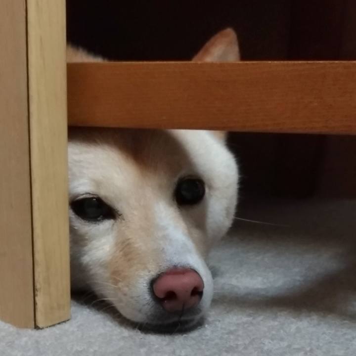 799420be 1d37 4657 a4a9 93000bed88e5 1561632999837