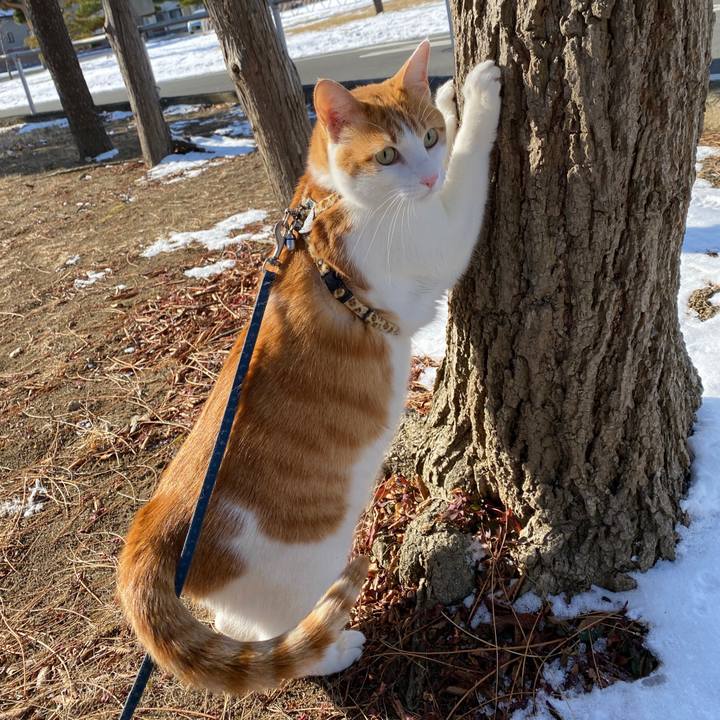 79942e34 2561 4380 8230 4b69cac48741 1609650427955