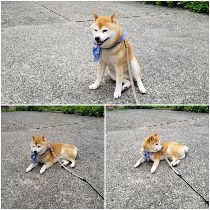 7994edcc 202b 47e0 822e 55a8c32d97e4 1560065991695