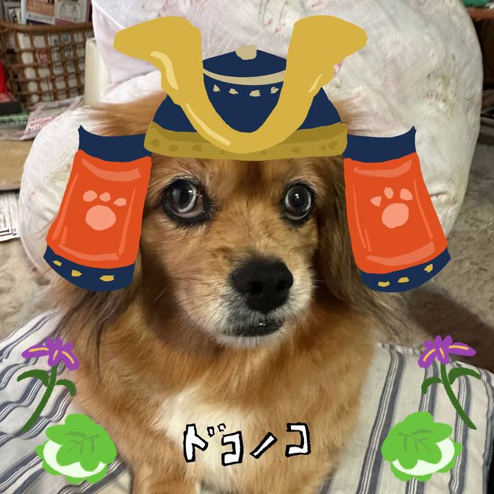 7994f674 acbc 46ea 9cda 85c4f2dd5f78 1715202740273