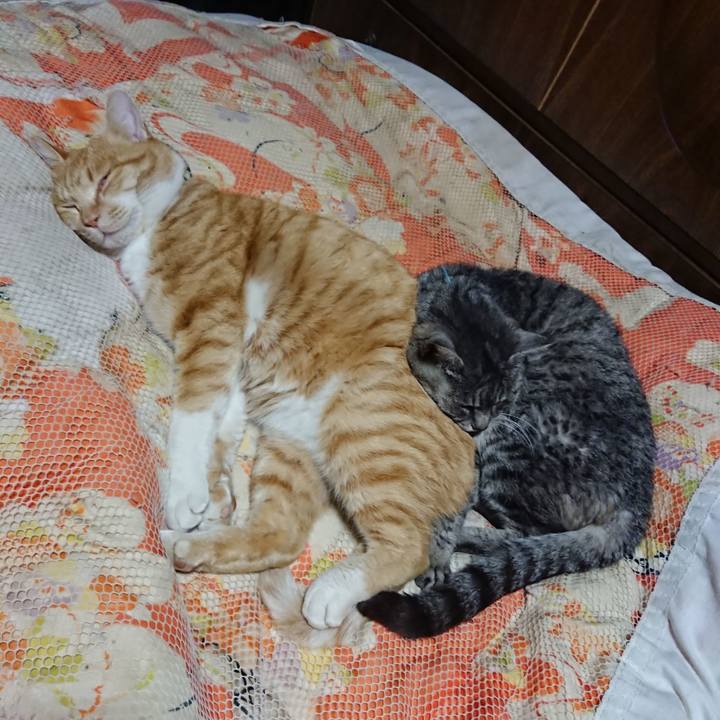 79954f69 e3ef 4c39 a12e b26819eea97c 1577626760207