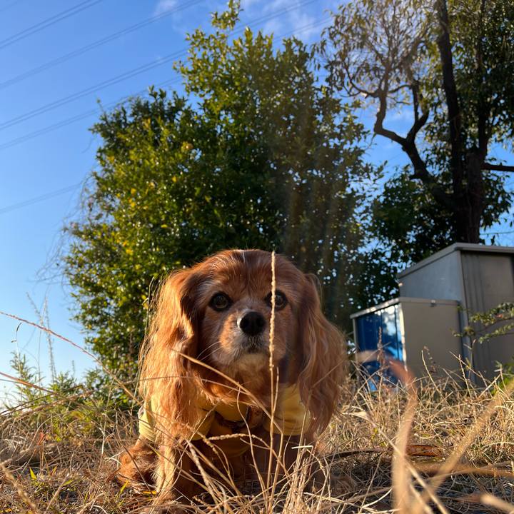 799570a7 fce8 4276 a267 f89960ff1011 1767662649229