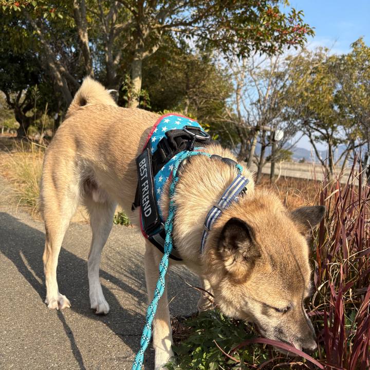 7995db9f 9e93 407f 951b dfa82ff08fe0 1736770951296