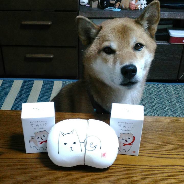 7995e360 c8d9 4407 ba4e 22295b6ce2a6 1568554576632