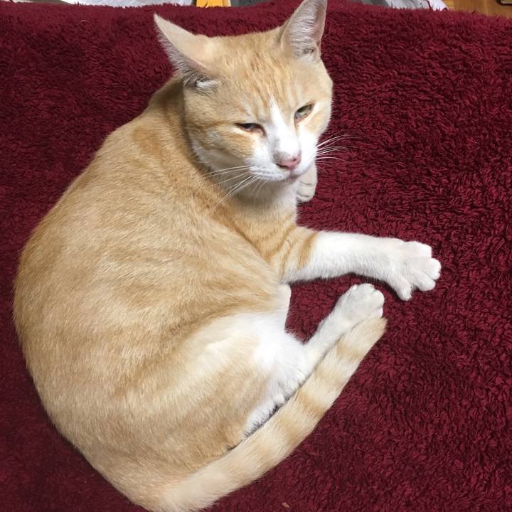 7995ec17 06f2 4cca b091 2fb430c977d8 1507817010823