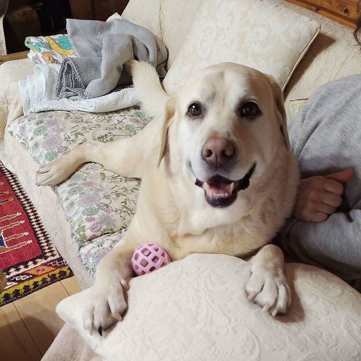 7995f81c 3f8c 4d2a b5d9 6caccbd31860 1741232419403