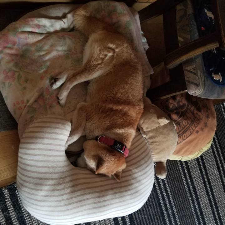 79961186 24de 4d6c a3b3 e120da751bbb 1749943028050