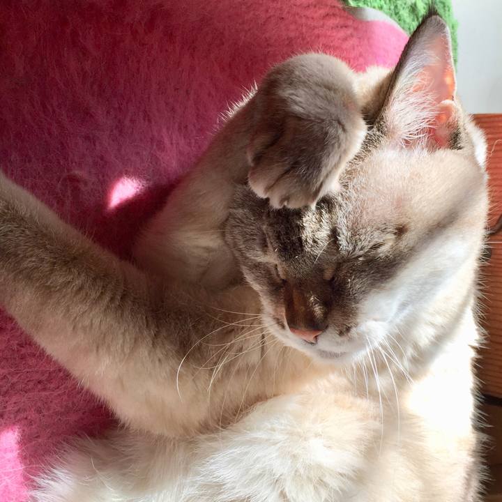 7996402c dd8a 4731 bd07 f97afe1fe320 1582346508856