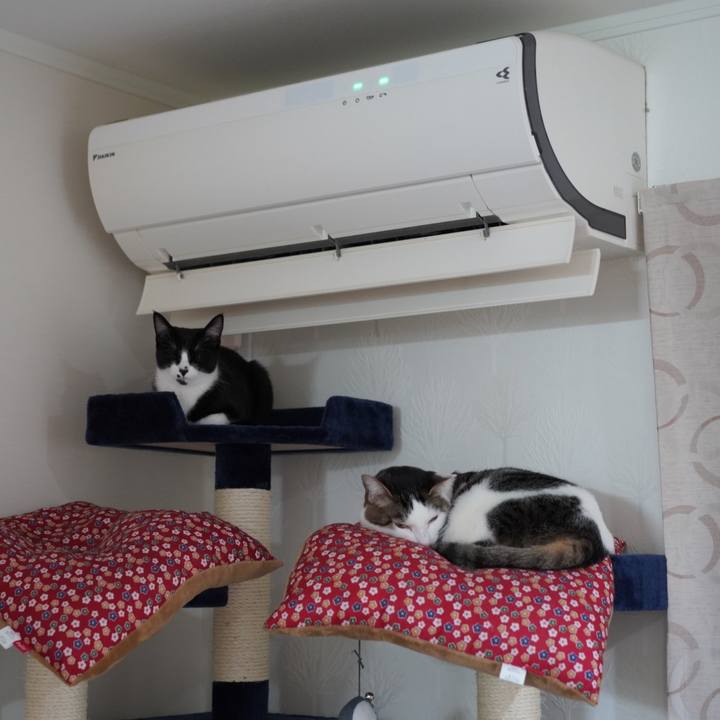 79968693 0fab 4cb6 9a18 b9effb17ed74 1581896668032