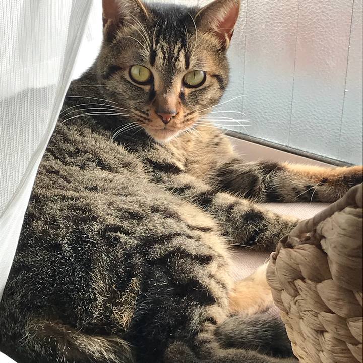 799689e0 b1ef 4cc8 a79b b54ad5e68edf 1516925613288