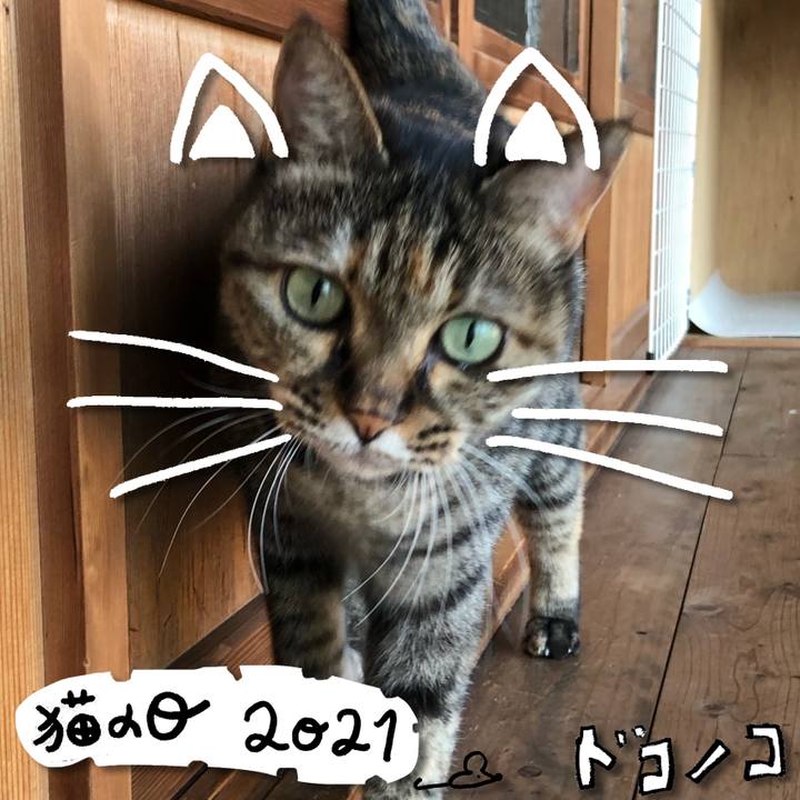 7996fc8a 489e 4d86 bb4f 8635ac855780 1613981492199