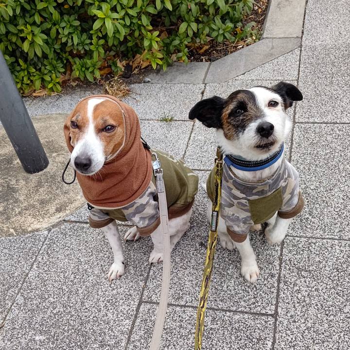 799700de 7410 4965 92c0 a380274315da 1706828055346