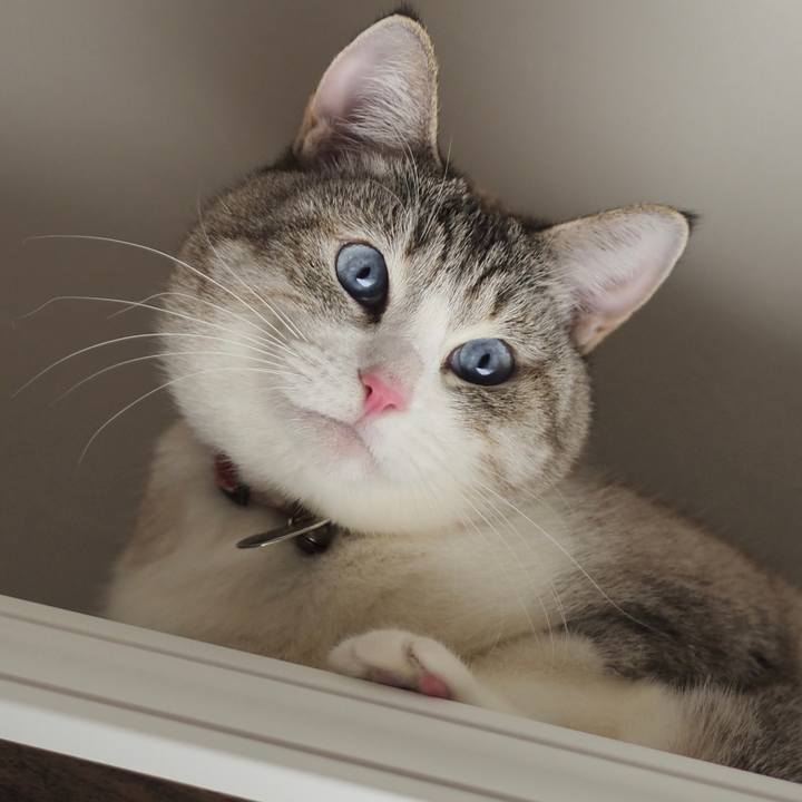 79970618 2f94 4da2 a5e5 74b372fe3dd5 1641821583248