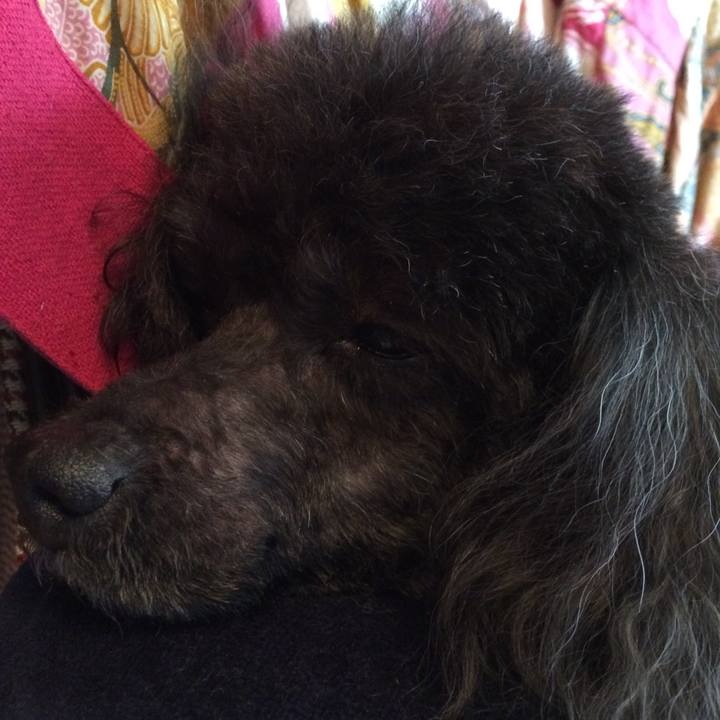 79970b5f f7d6 4cb3 9ca1 a41f0c4342d0 1517376801582