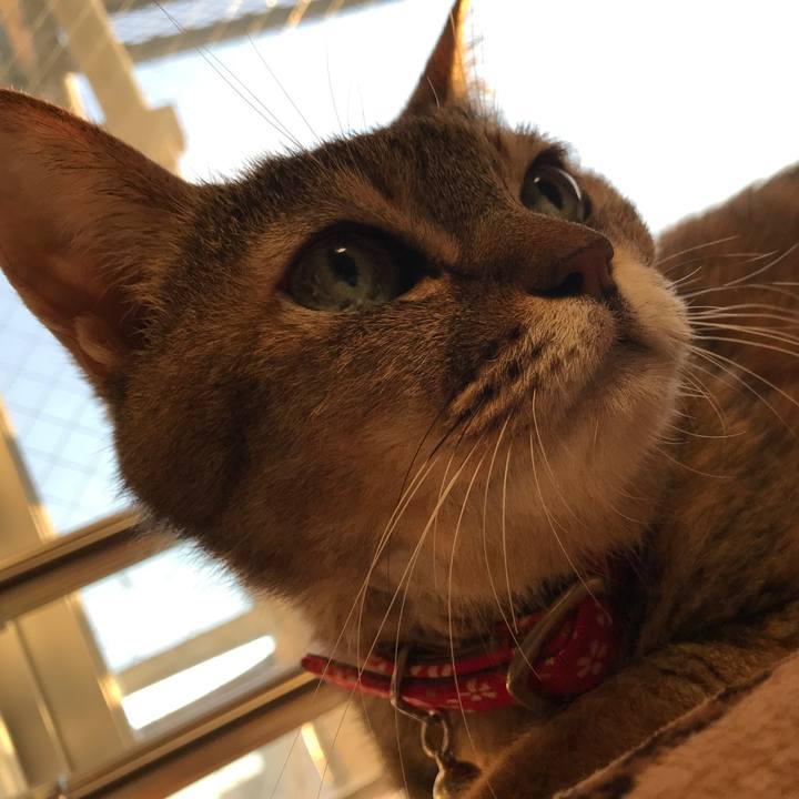 79971d04 37c0 4185 9618 ddc0c1db552f 1540110070968