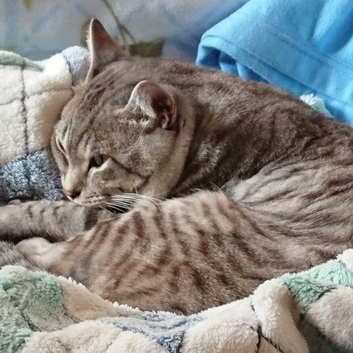 79973bc5 6b8e 42b0 9a6c bc3da48dc352 1568847292392