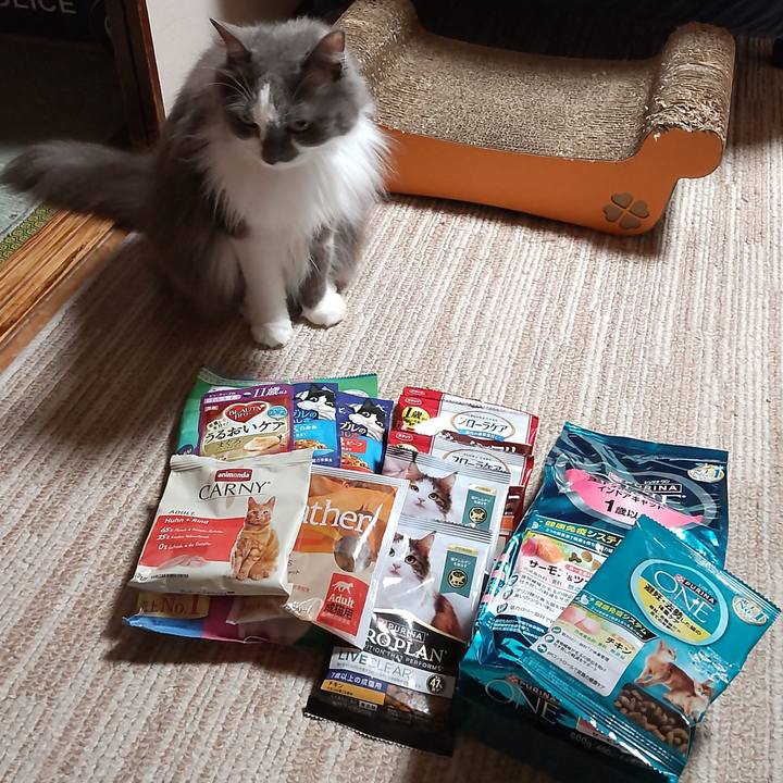 7997745d 2792 43e3 9f57 fbdfb9375fdb 1720867948425