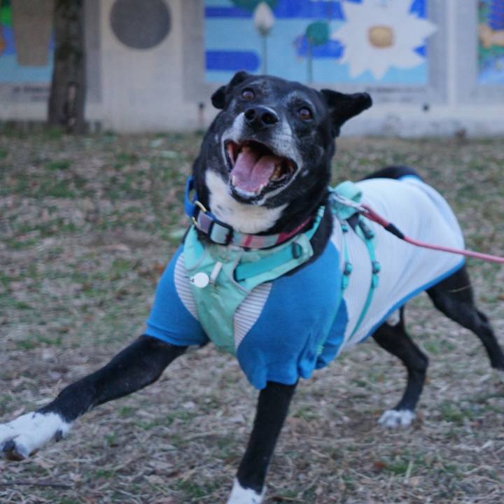 79977eda 5ba0 4fde ba5e c9a26c8feea8 1771463917041