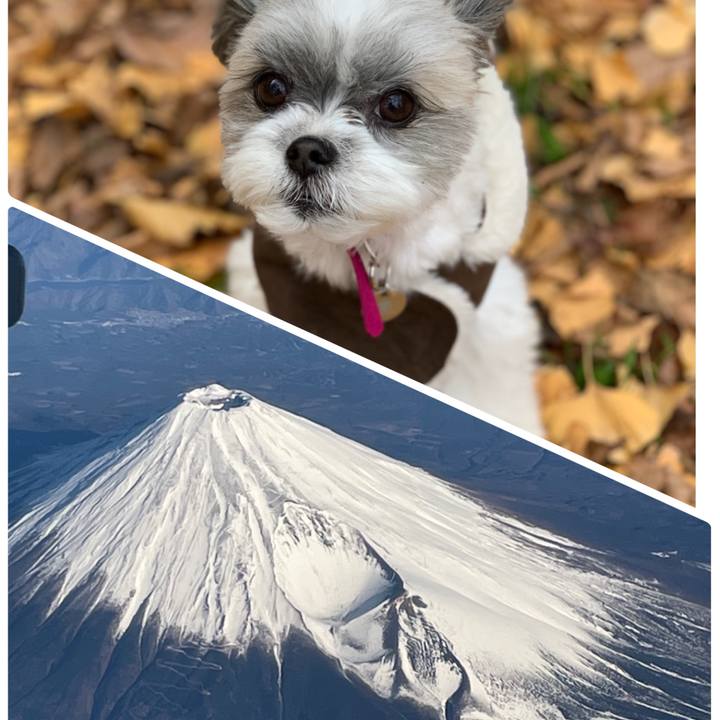 79978179 5d27 4d6e a45b 659f5ed644d3 1640991556124