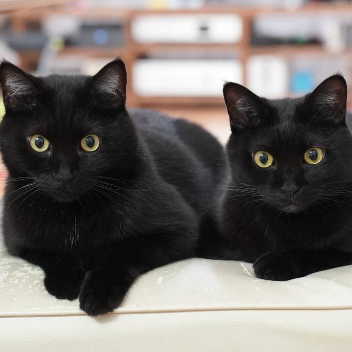 7997a174 f501 4051 a51d 048cca911f14 1698758065431