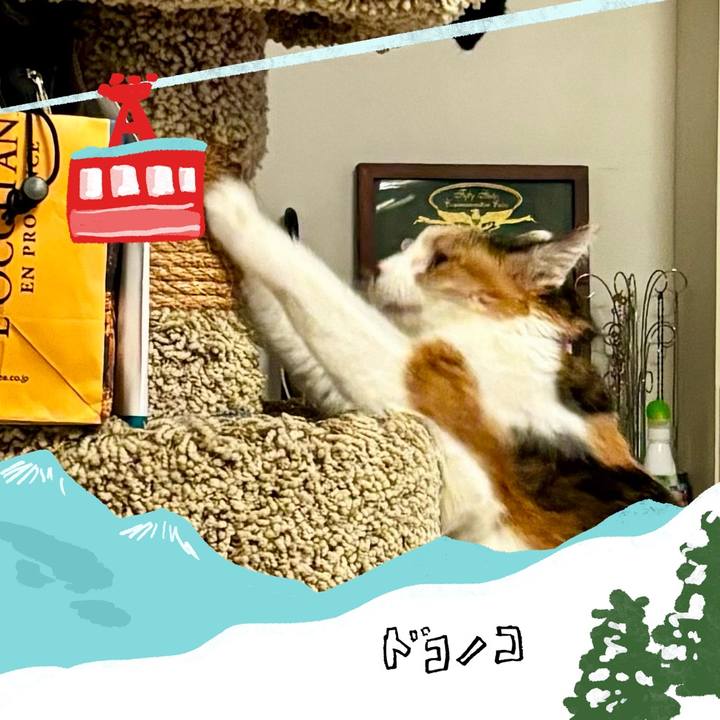 7997ed1b 4582 43d2 8eb8 2fed4f5806b3 1706789306299