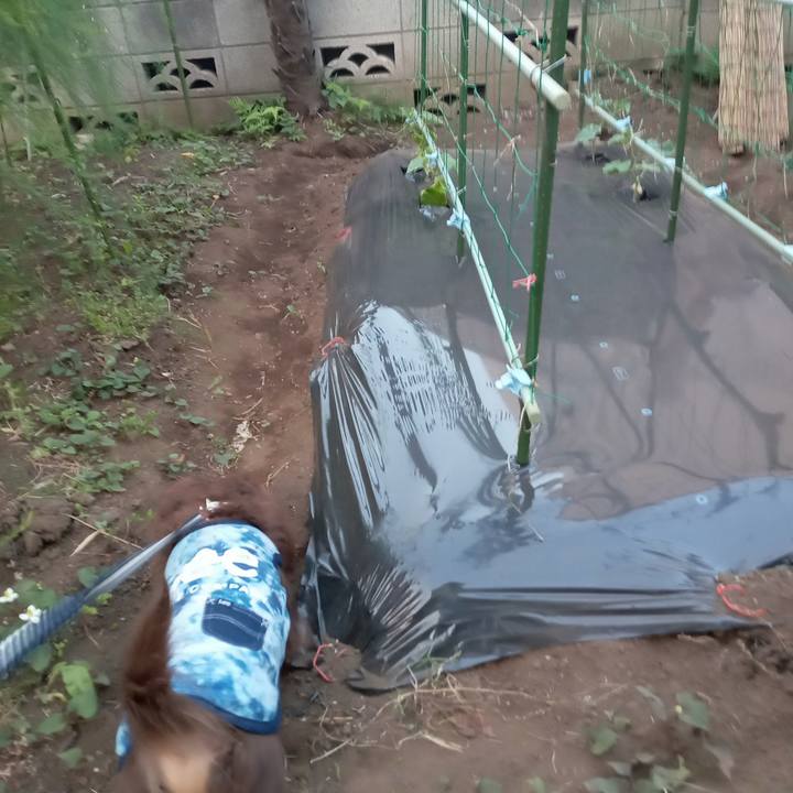 79985225 3853 4fb1 91d2 1536e4aac52e 1779138016582