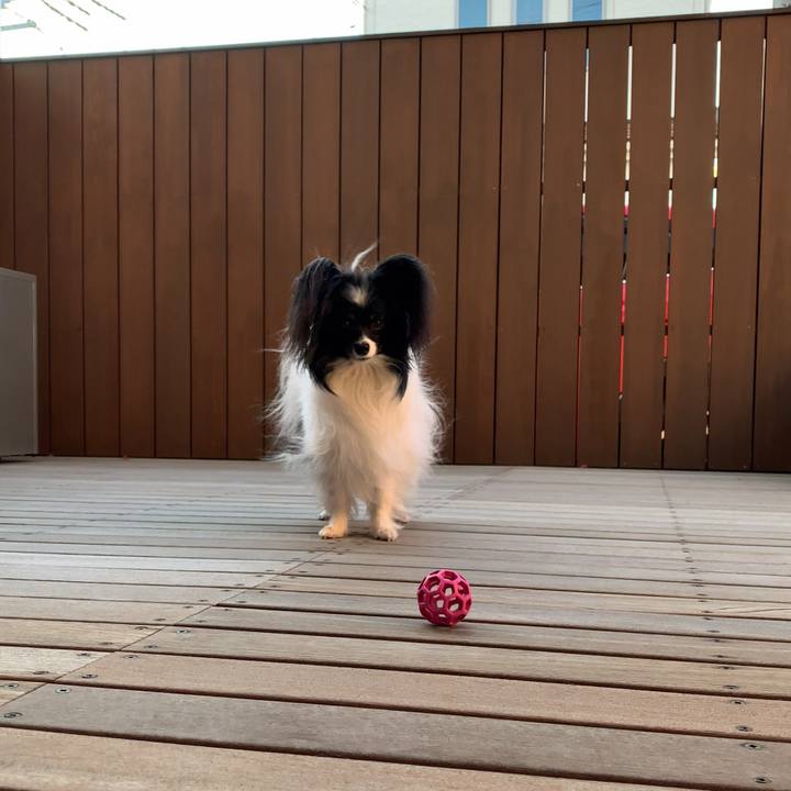 799880d1 c7ee 4737 a062 0bb8bf0eeaac 1549582047822